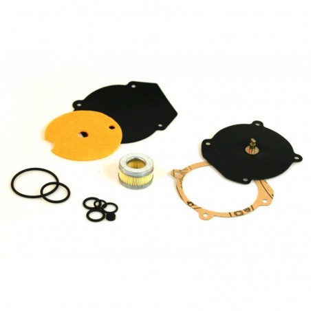 KIT REVISIONE RIDUTTORE GPL DTGAS DTRE01