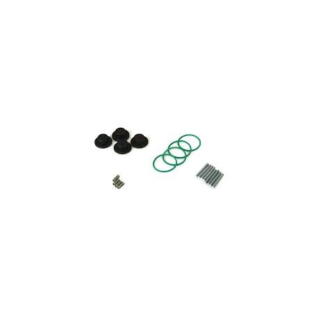 KIT REVISIONE INIETTORI GIRS12 4CIL. LANDI RENZO