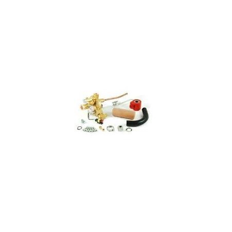 MULTIVALVOLA BRC EUROPA2 200/30° S/PRESA CARICA
